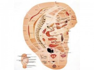 Diapositiva1