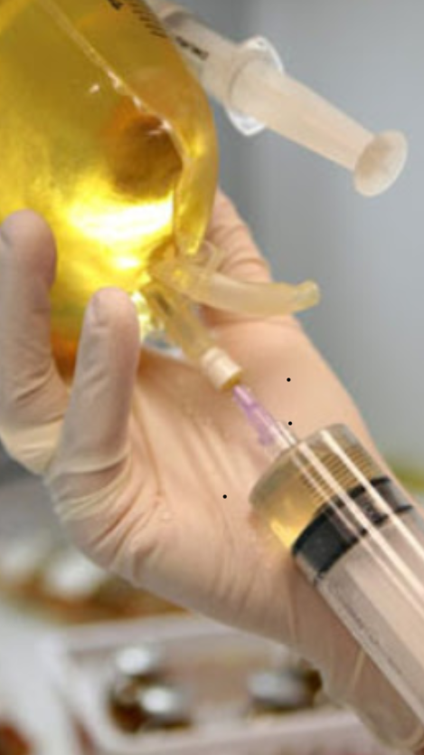 Medicina Ortomolecular